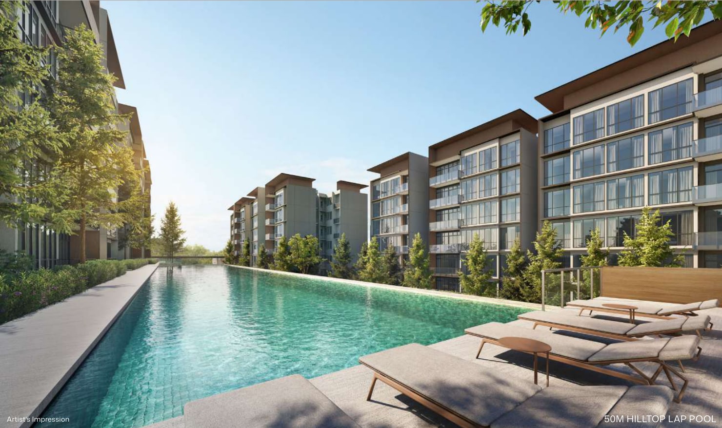 Artist's impression of the 50-metre hilltop lap pool with sun loungers and the blocks beyond