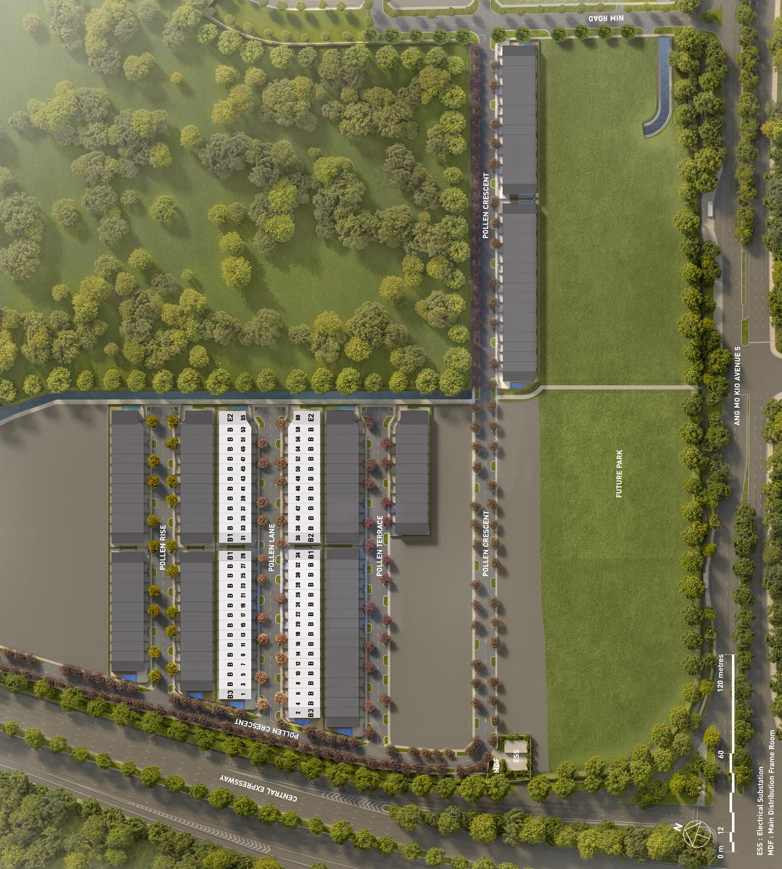 Site plan of the Pollen Collection II estate with Pollen Rise, Pollen Lane, Pollen Terrace and Pollen Crescent named and every house on Pollen Lane numbered with its type