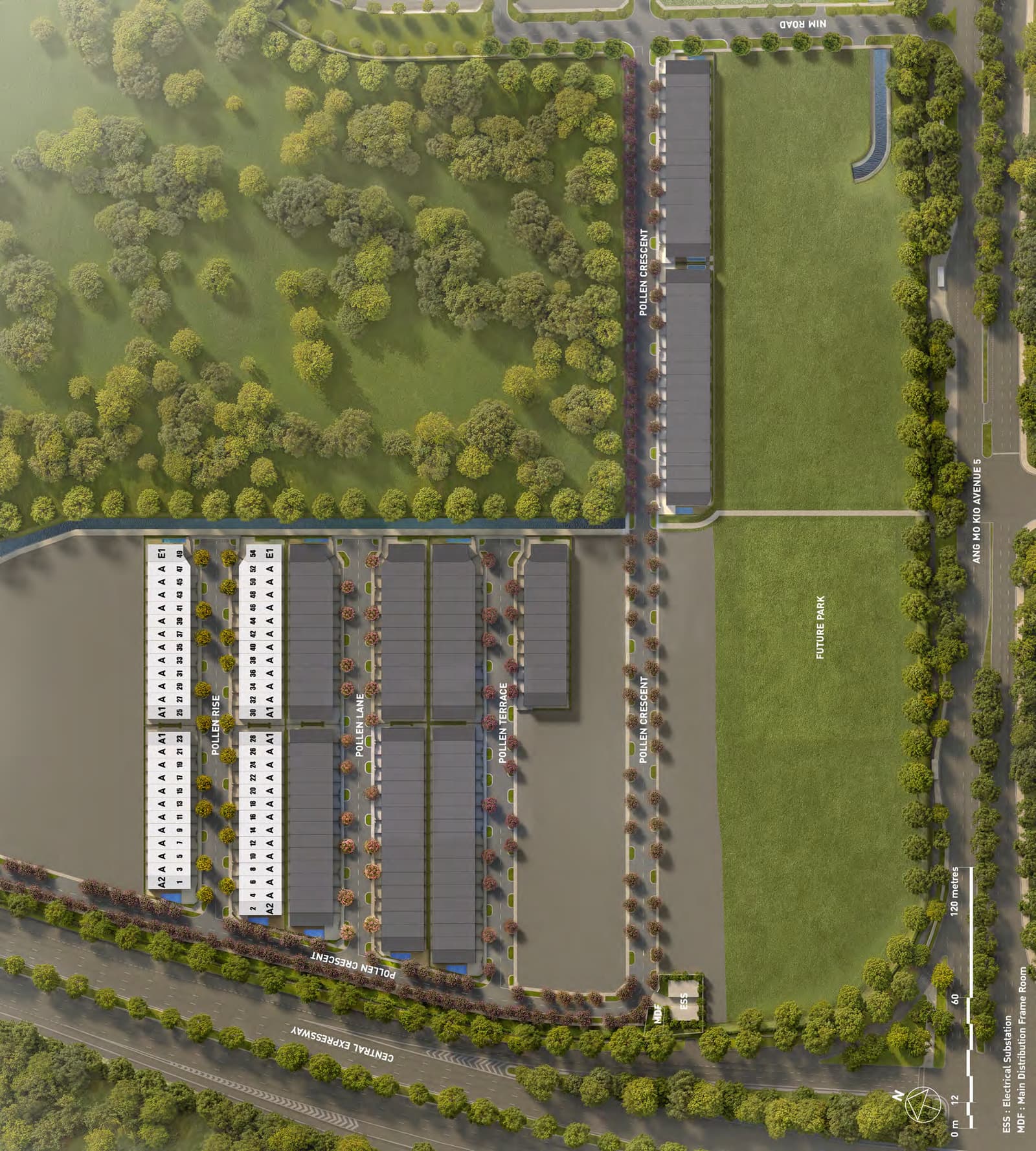 Site plan of the Pollen Collection II estate with Pollen Rise, Pollen Lane, Pollen Terrace and Pollen Crescent named and every house on Pollen Rise numbered with its type
